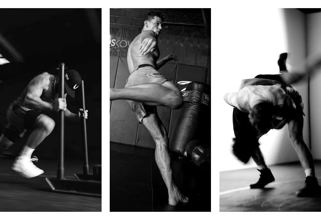 Maison across MMA, boxing, kickboxing